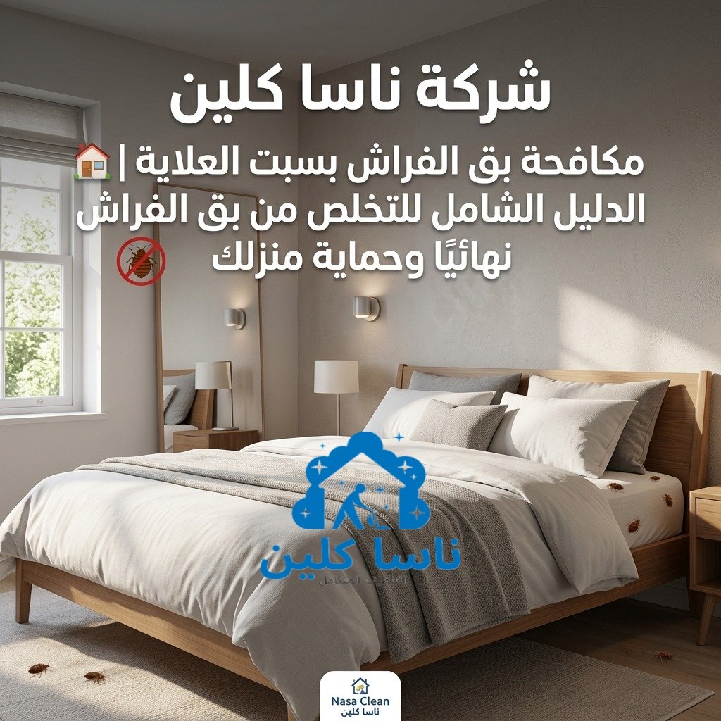 مكافحة بق الفراش بسبت العلاية